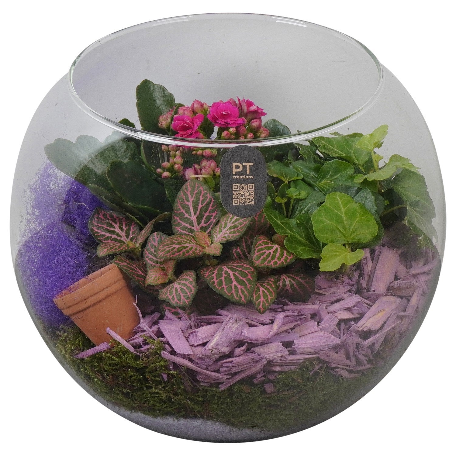 Indoor arrangement 17cm 20cm Pot