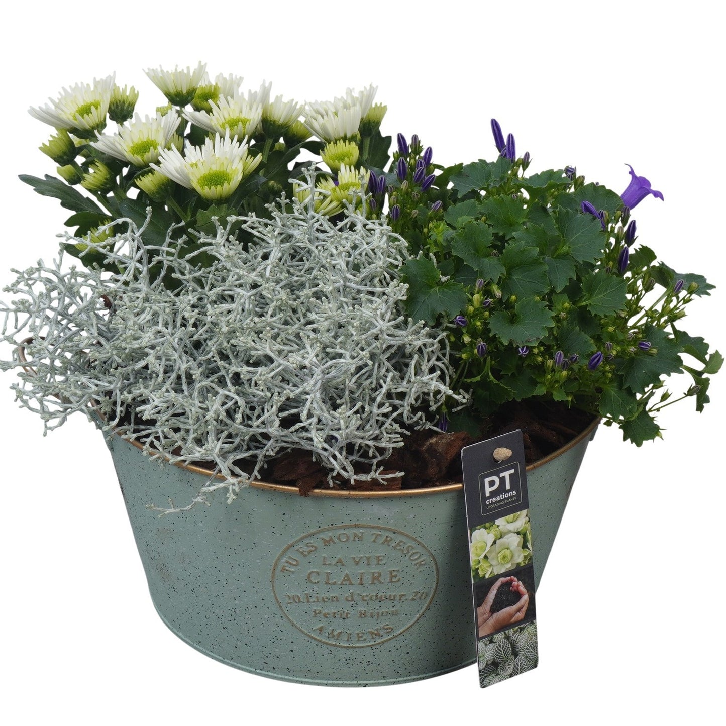 Outdoor arrangement 23cm 23cm Pot