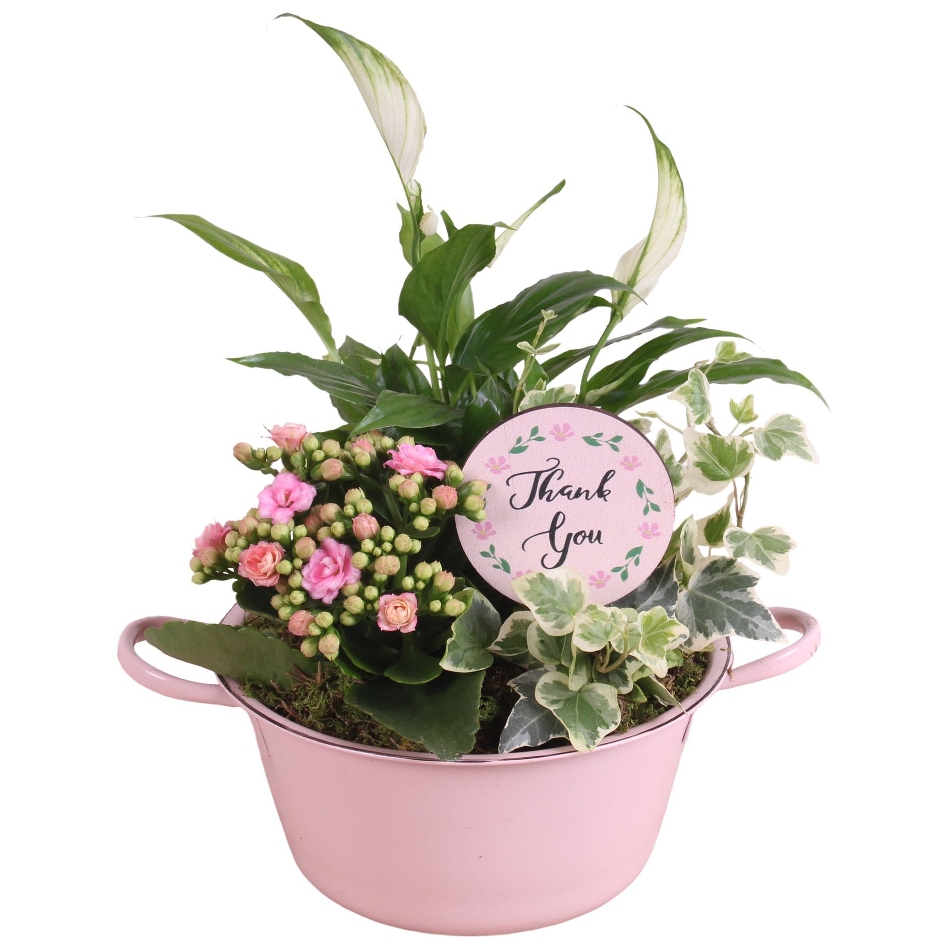 Indoor arrangement 30cm 20cm Pot