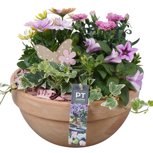 arr. PM196 26cm 26cm Pot