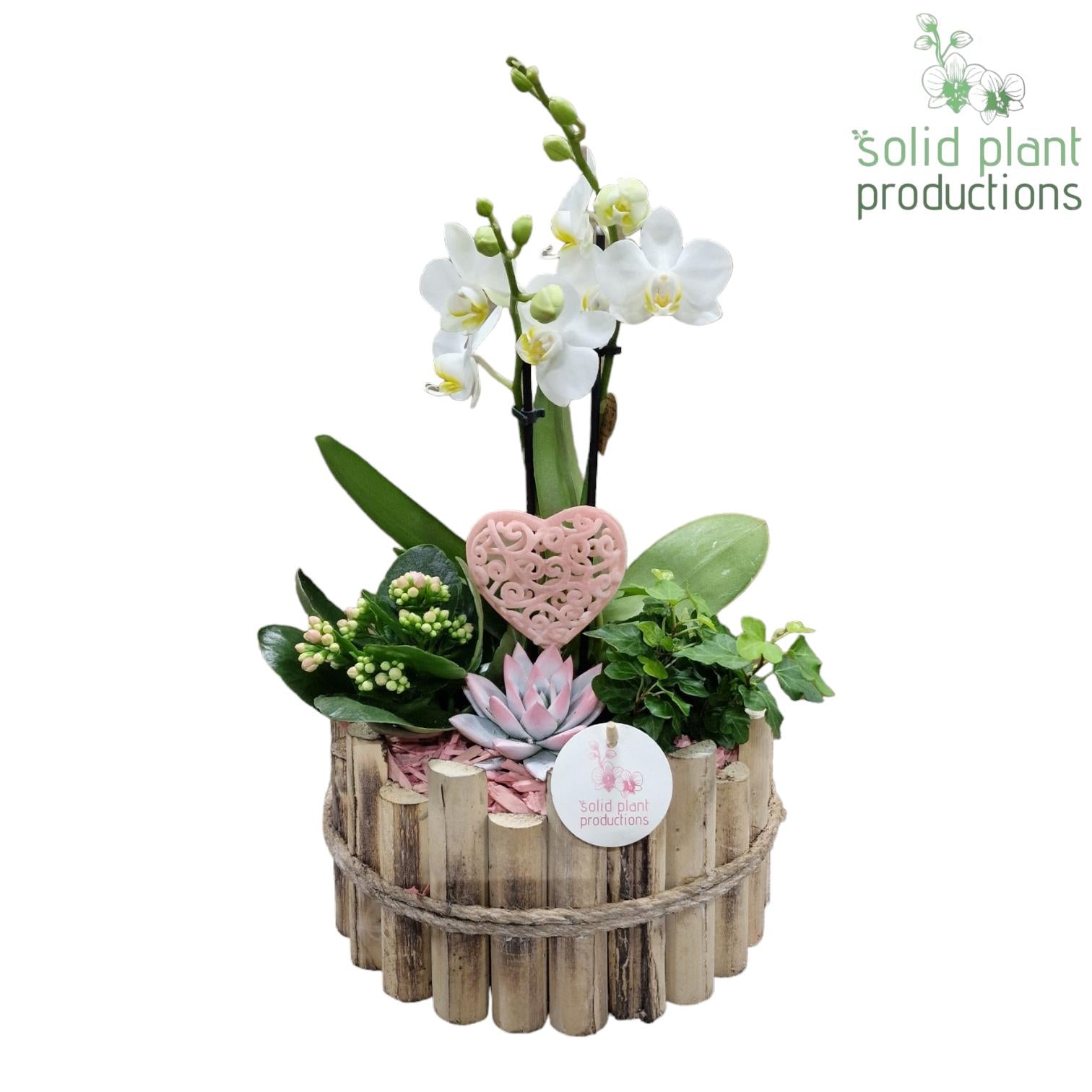 HVPE002 Milano Large Pink 45cm 23cm Pot