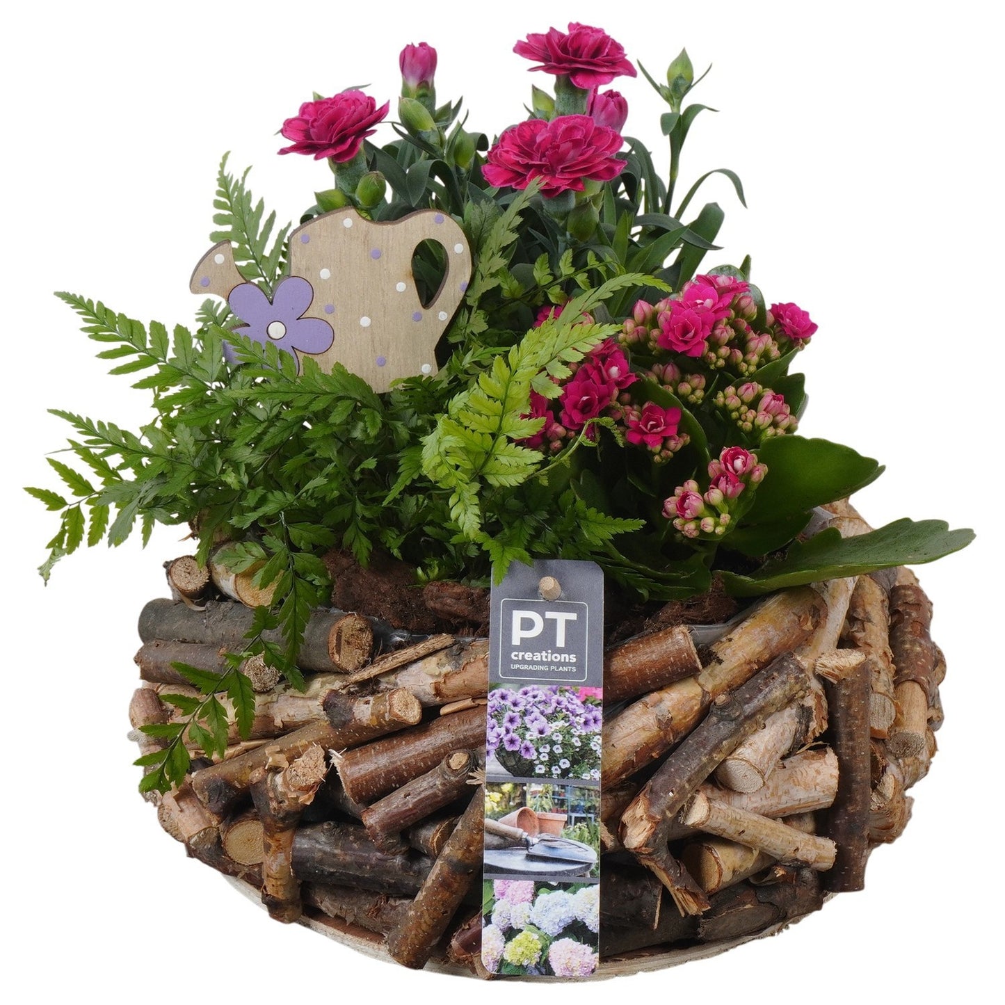 Outdoor arrangement 23cm 23cm Pot