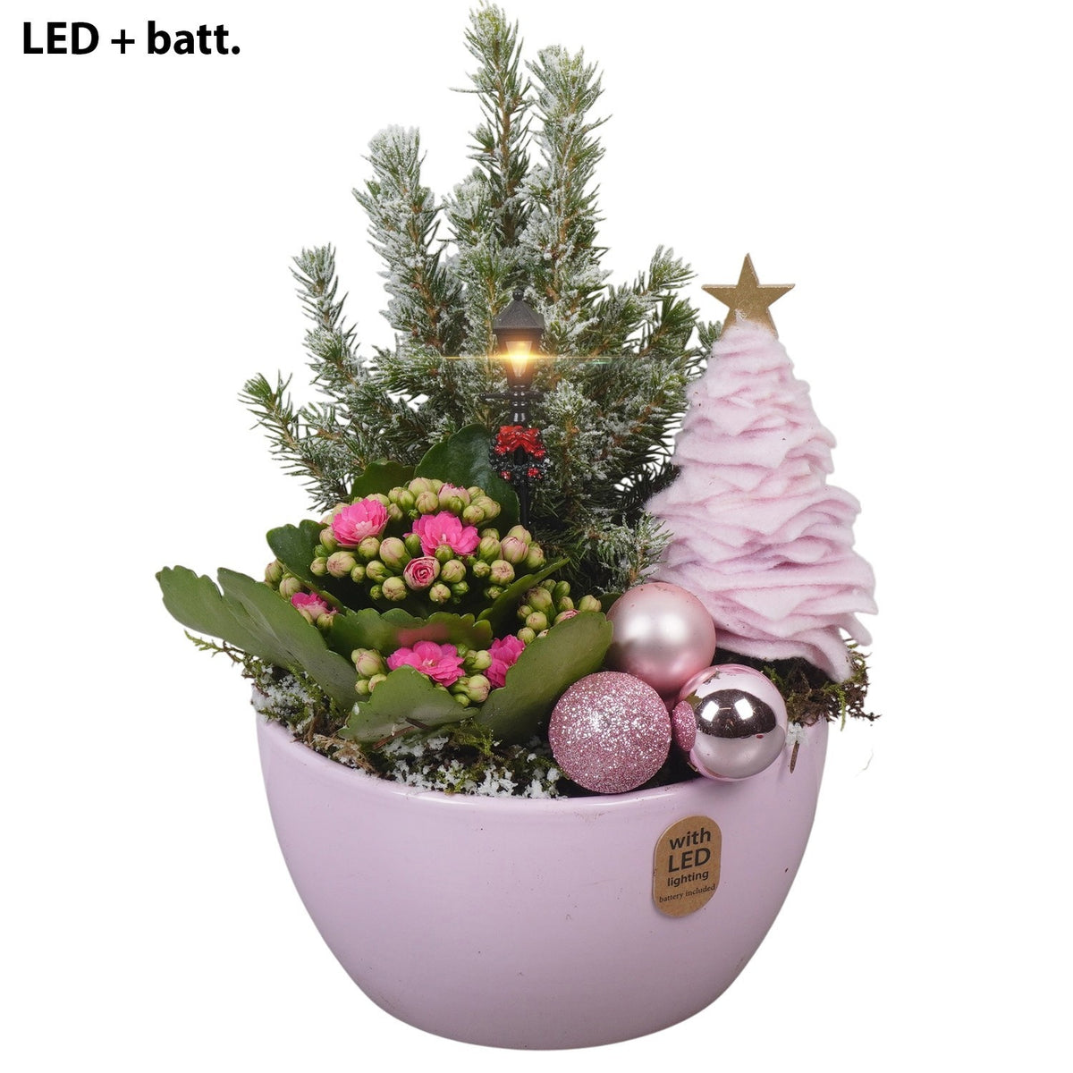 Christmas arrangement 26cm 16cm Pot