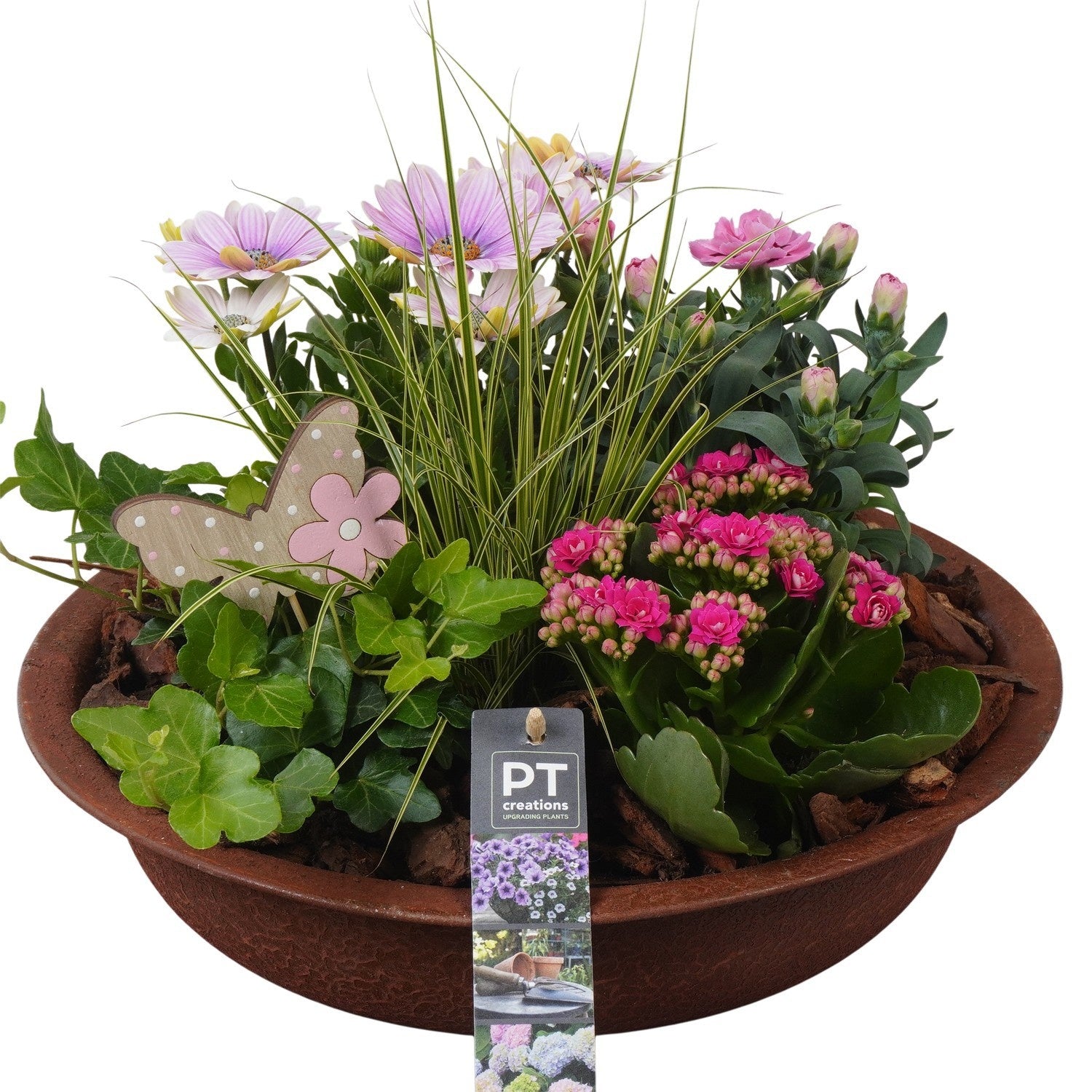 Outdoor arrangement 30cm 29cm Pot