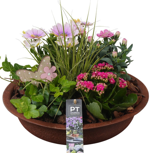 Outdoor arrangement 30cm 29cm Pot