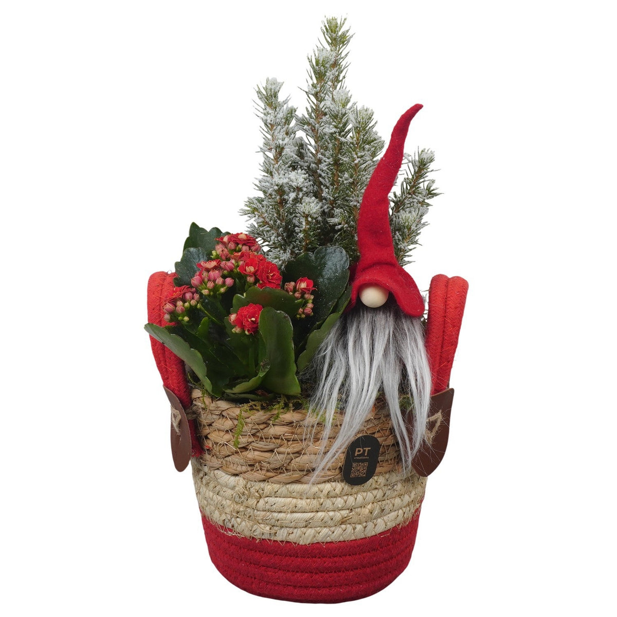 Christmas arrangement 31cm 13cm Pot