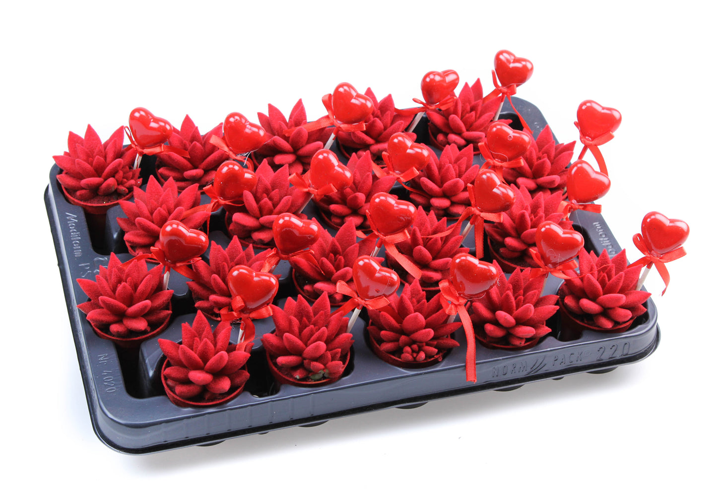 Velvet red + hartje 8cm 5.5cm Pot