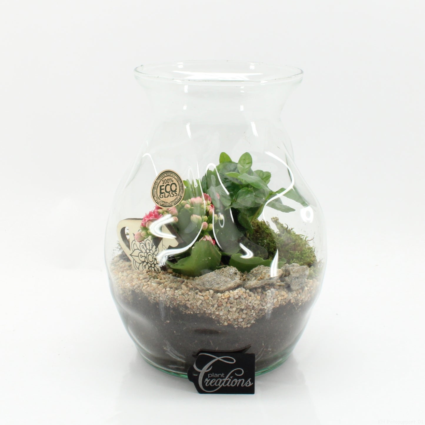 Indoor flowering arrangement 26cm 22cm Pot