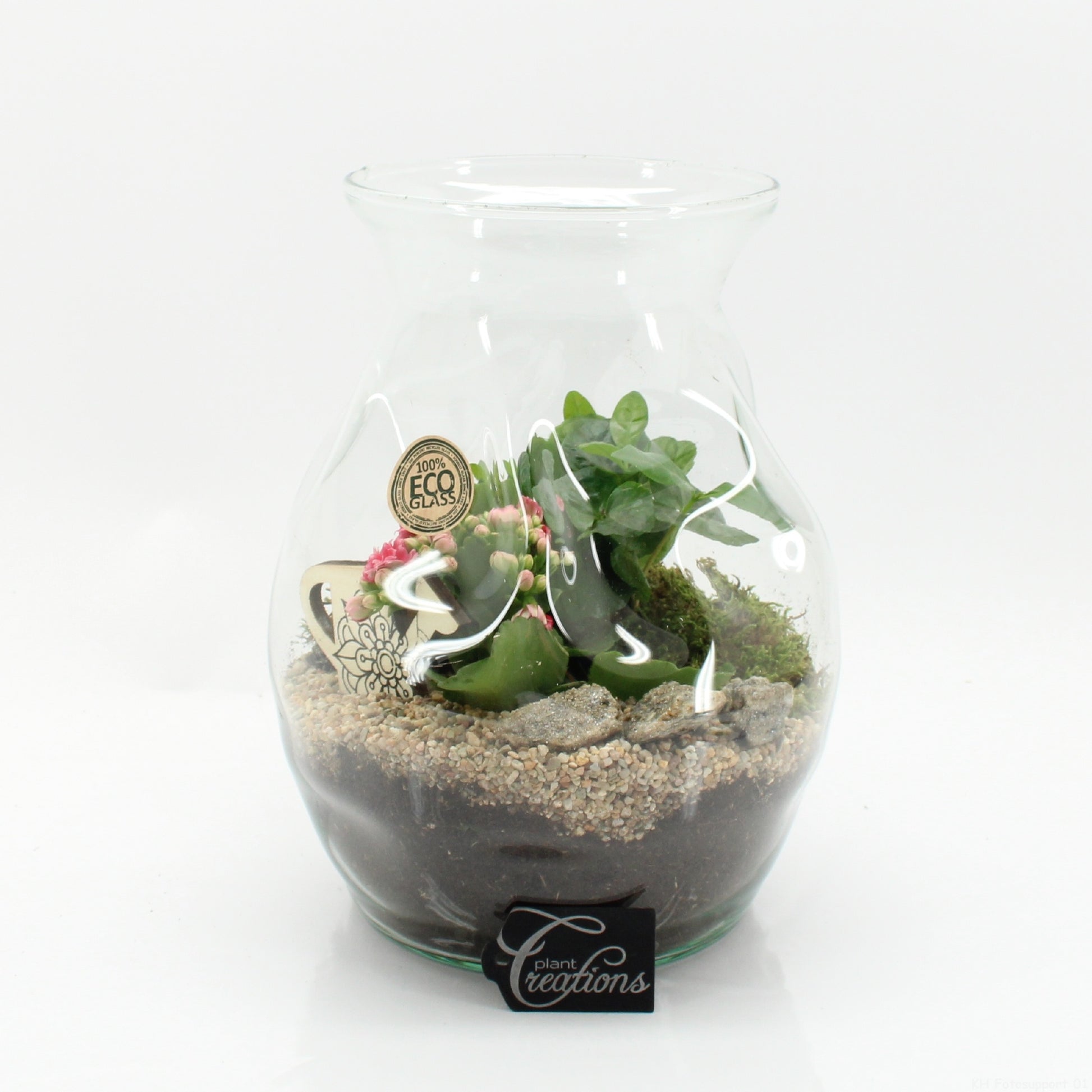 Indoor flowering arrangement 26cm 22cm Pot
