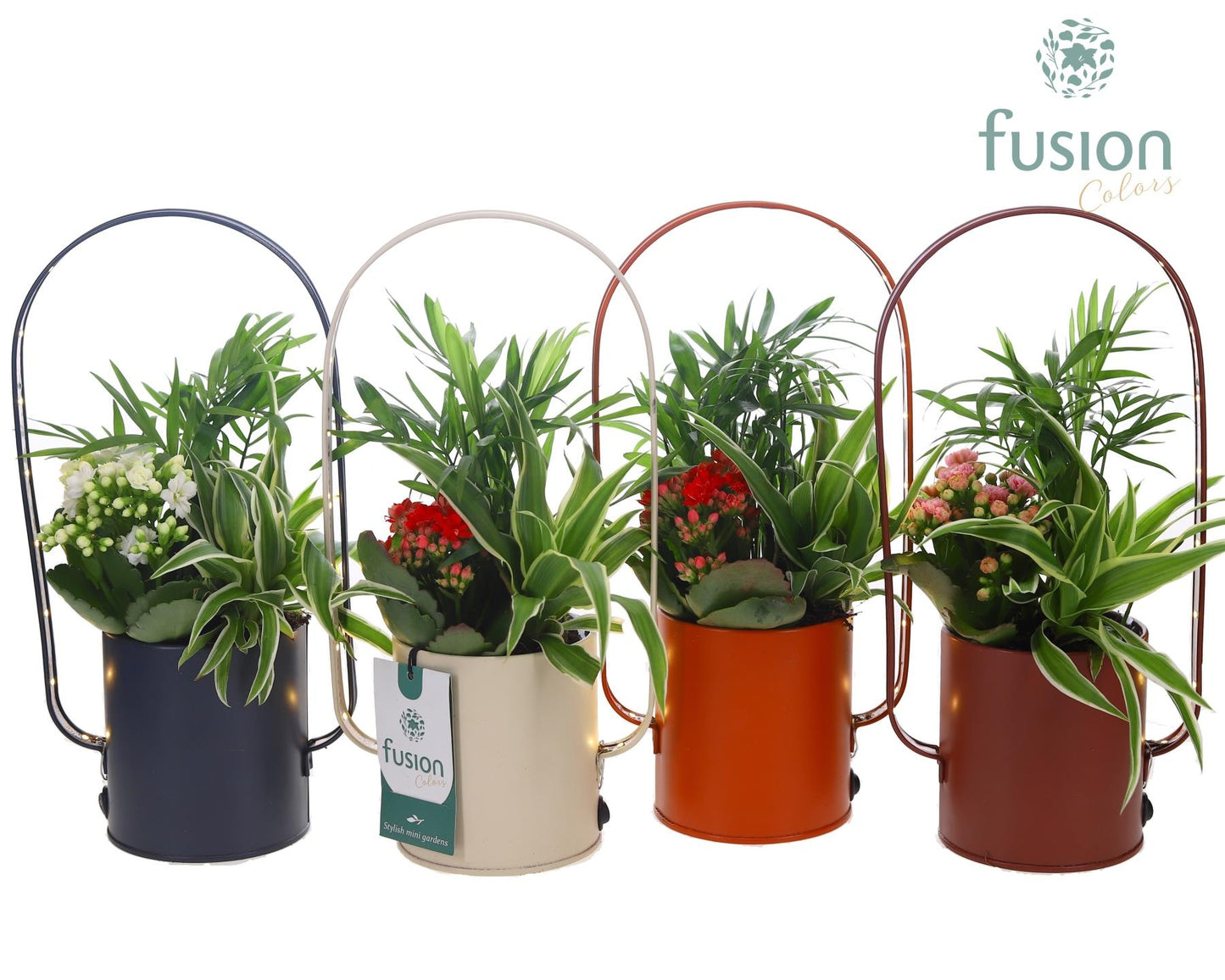 LED planter zink boog met arrangement 29cm 9cm Pot