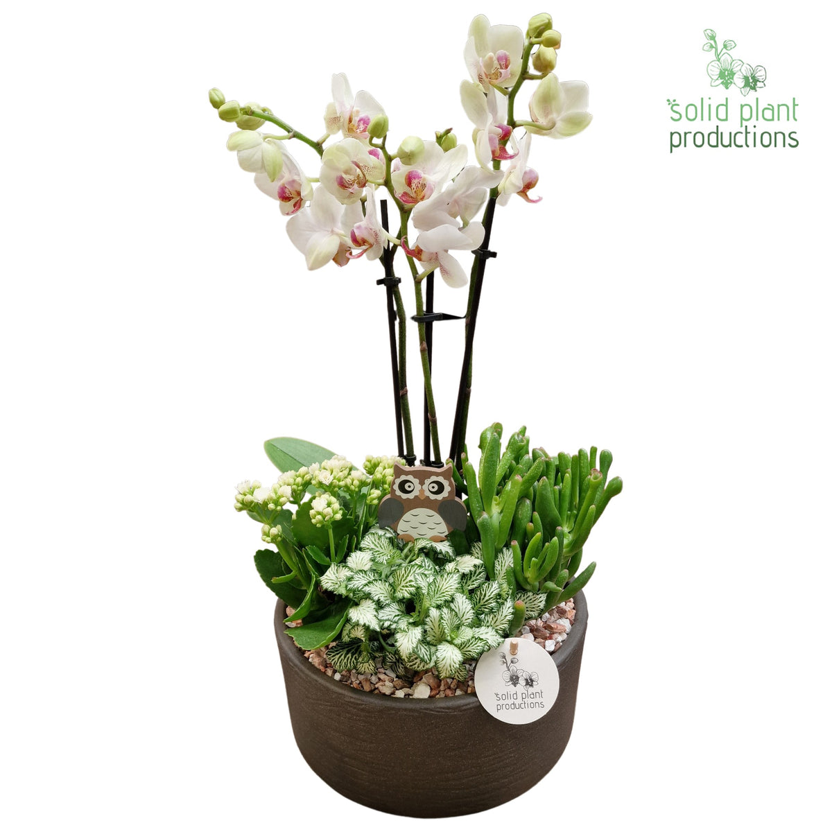 PH004 Stella Grey Stone 45cm 22cm Pot