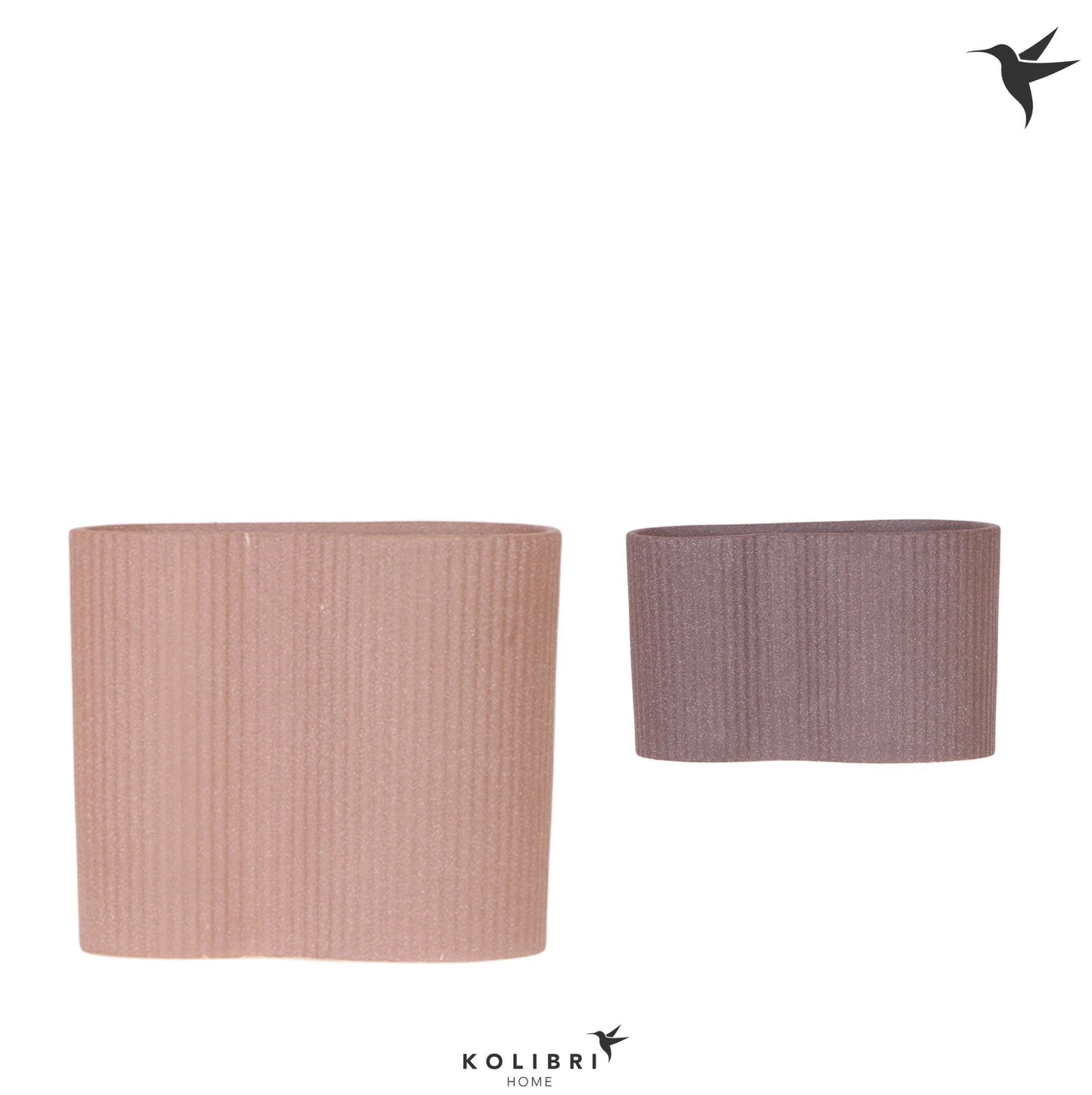 OK Plant Kolibri Home Gili twin pot mix Pack of 4