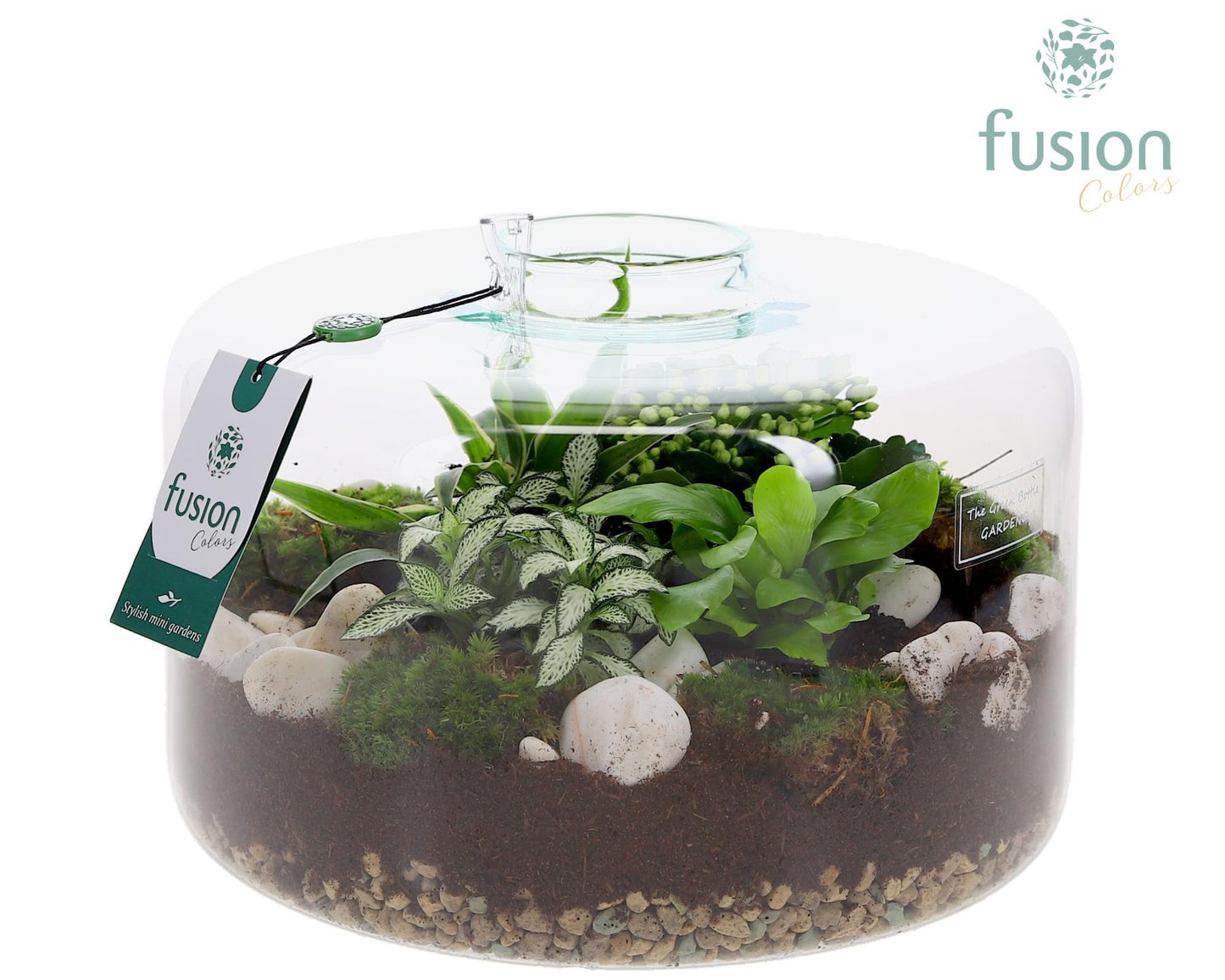 Green Bottle Kyra XLarge met arrangement 20cm 27cm Pot