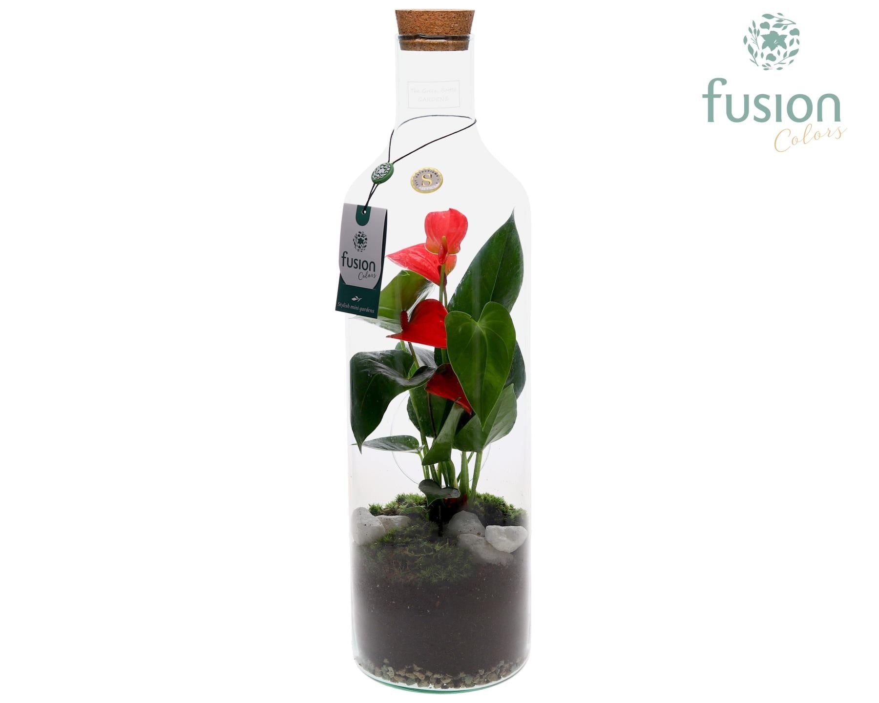 Green Bottle Fles Large met Anthurium Roze 55cm 15cm Pot
