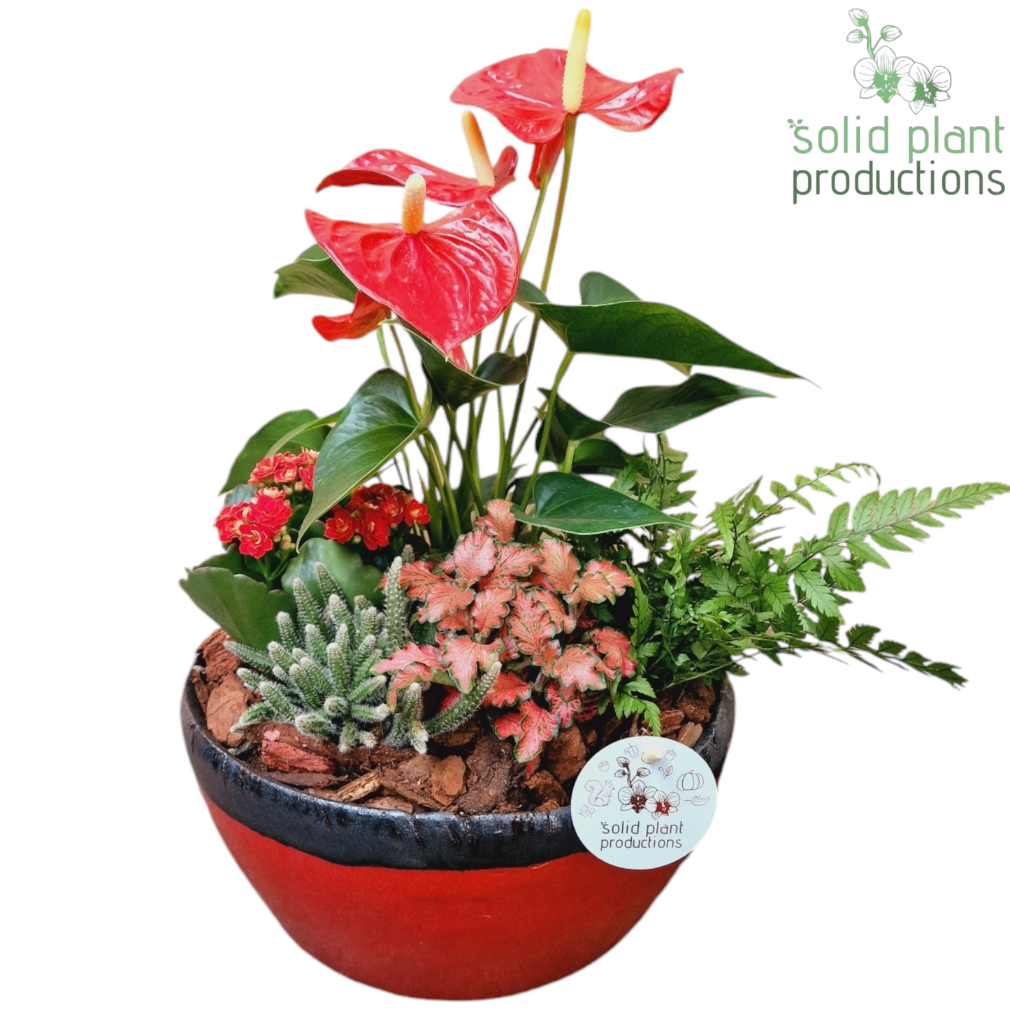arr. AT082 40cm 24cm Pot