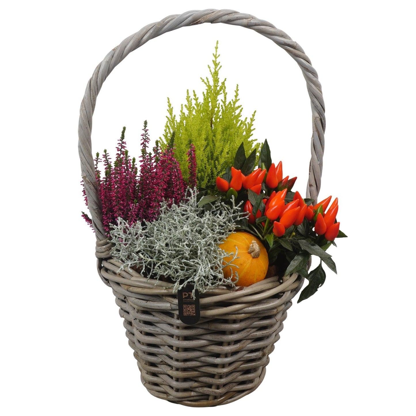 Outdoor arrangement 50cm 26cm Pot