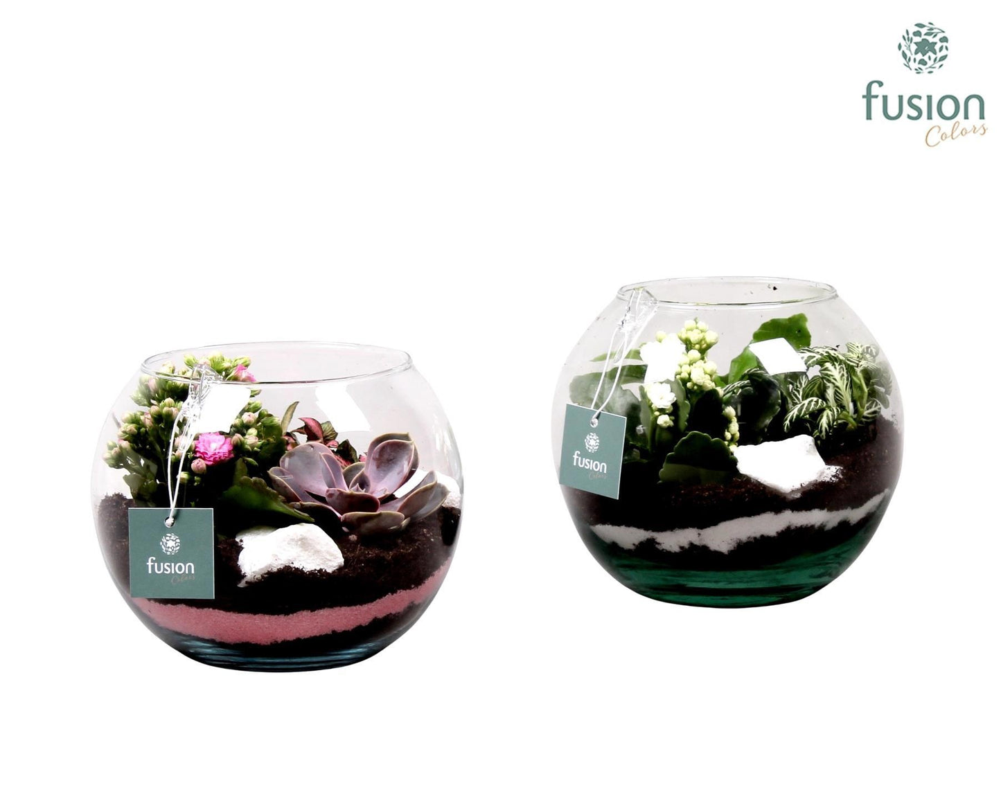 Glas vissenkom met Arrangement 3pp 29cm 19cm Pot