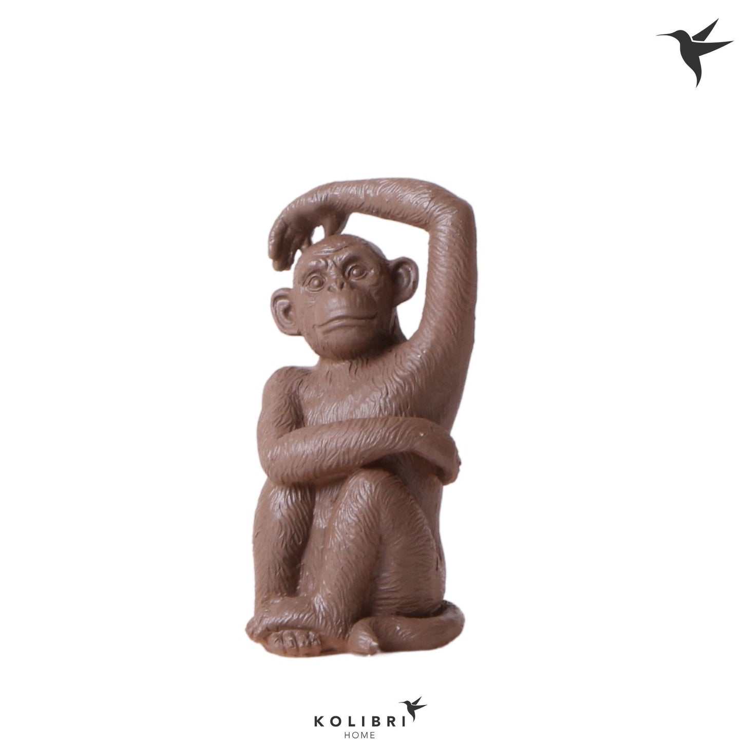 OK Plant Kolibri Home Monkey Sitting brown Pack of 6