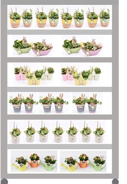 JS-Creations Indoor arrangement Pack of 169
