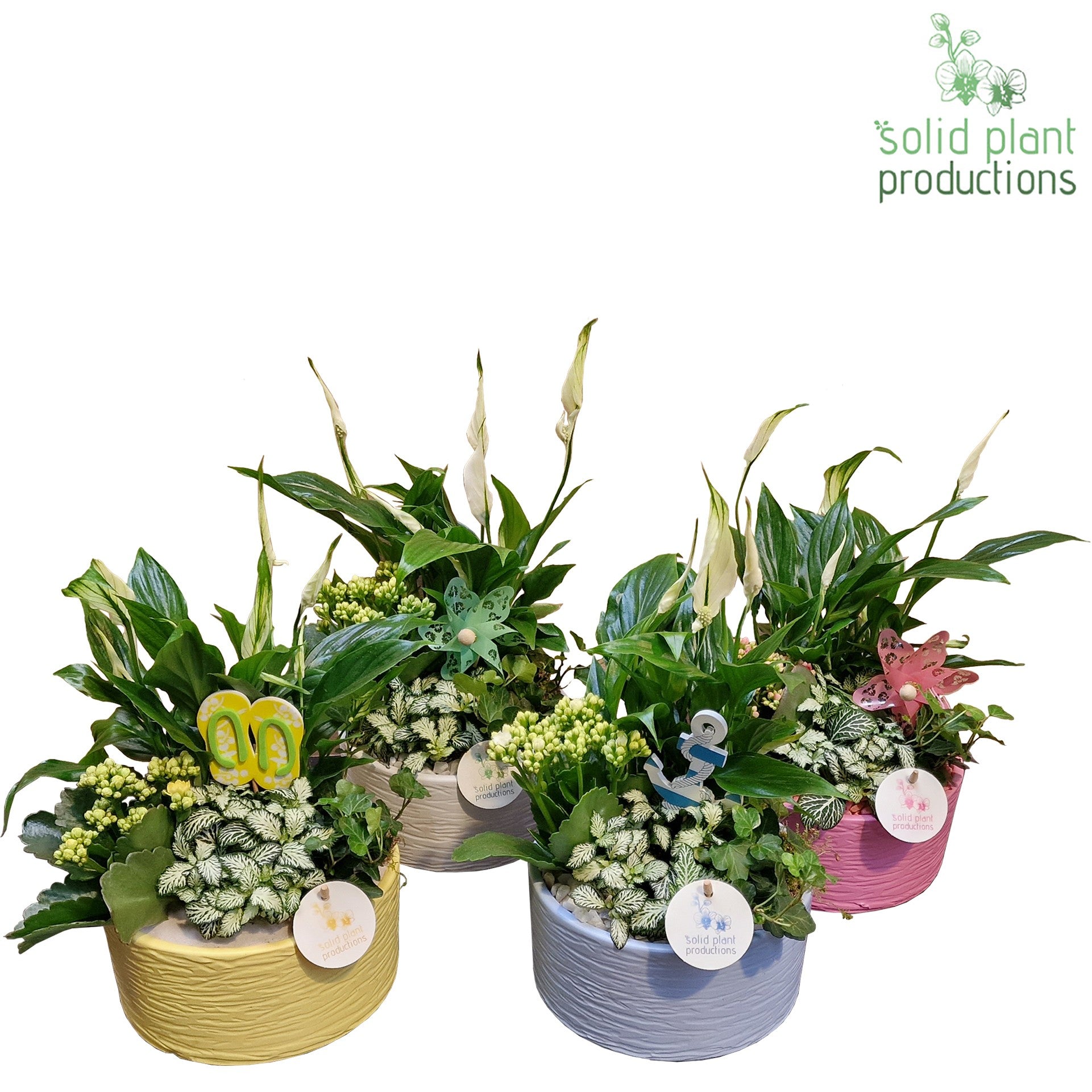 SP003 Loes Summer Mix 40cm 18cm Pot