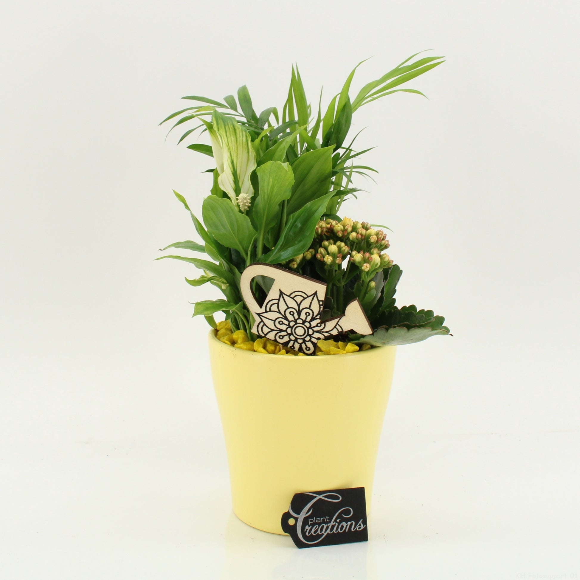 FDCR-2608G Basic Fundamentals 35cm 14cm Pot