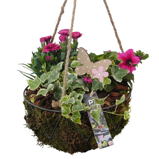 arr. PM196 26cm 23cm Pot