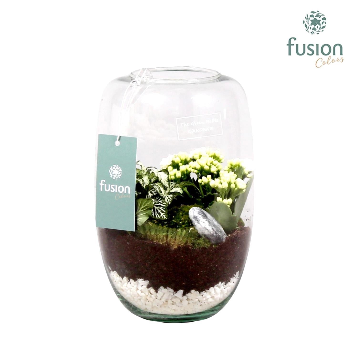 Fusioncolors BV Green Bottle Isabella Small white met kalanchoe arrangement 2pp Pack of 6