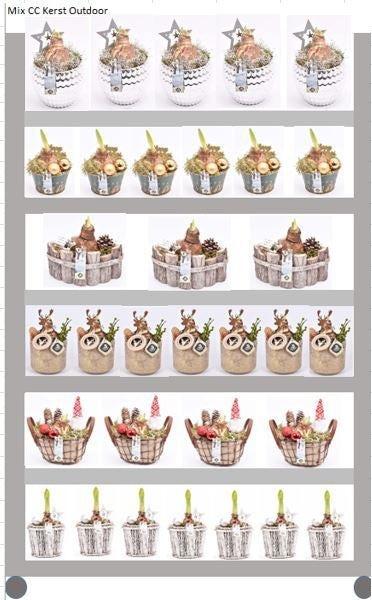 arr. Bulbs 999cm Pot