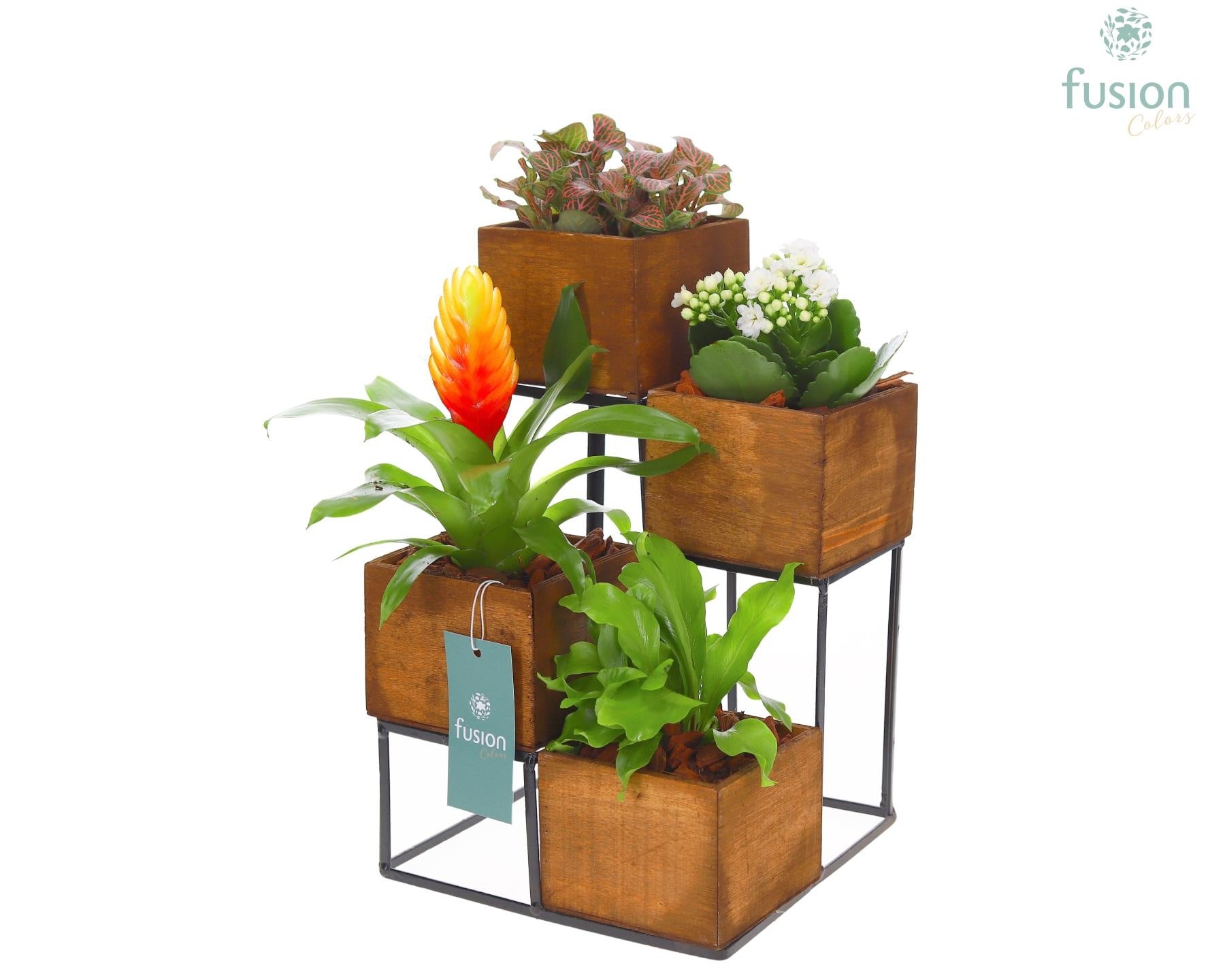 Fusioncolors BV Tower hout met metaal met Bloeiende en Groene Planten Pack of 2