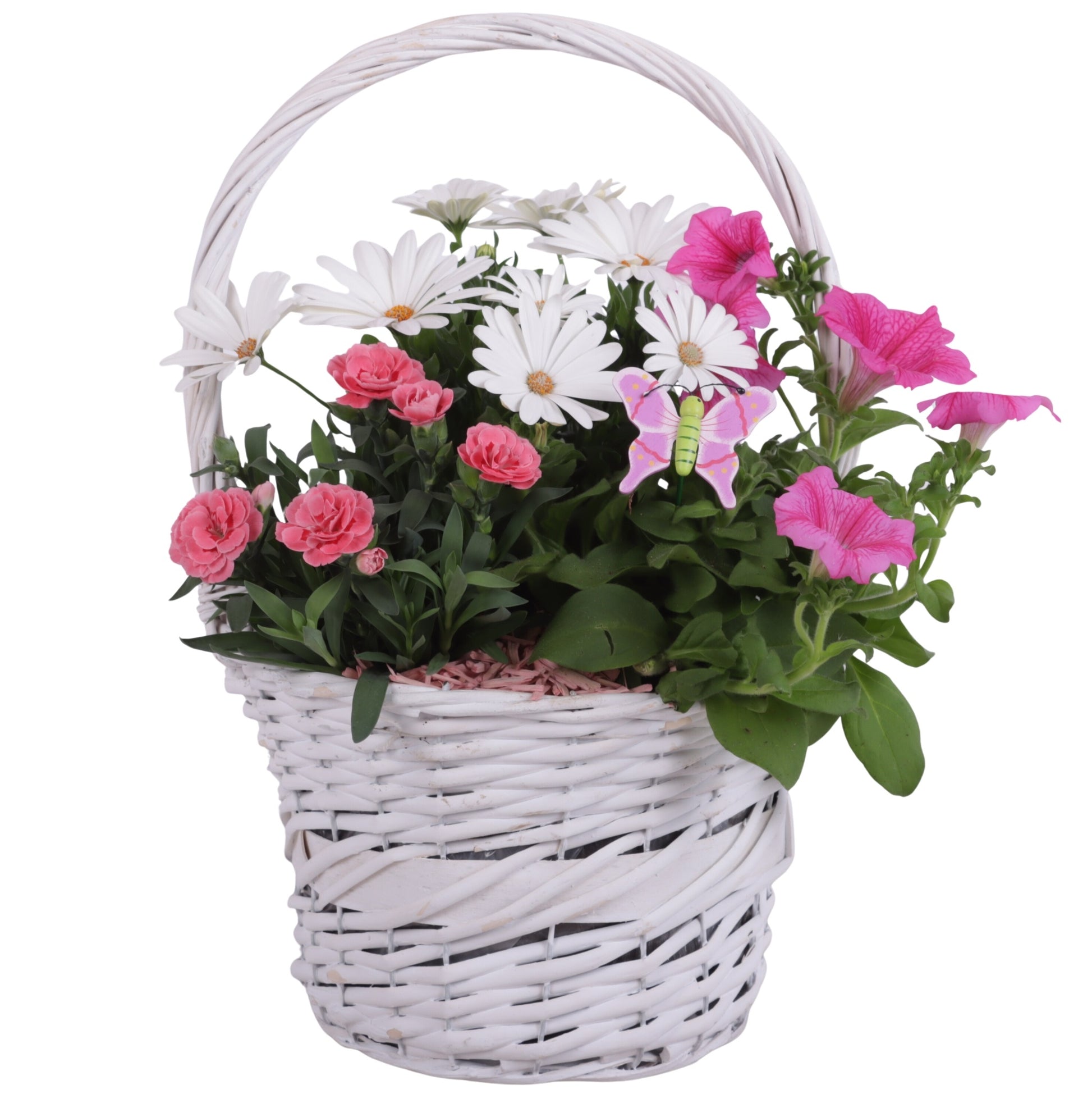 Outdoor arrangement 35cm 17cm Pot