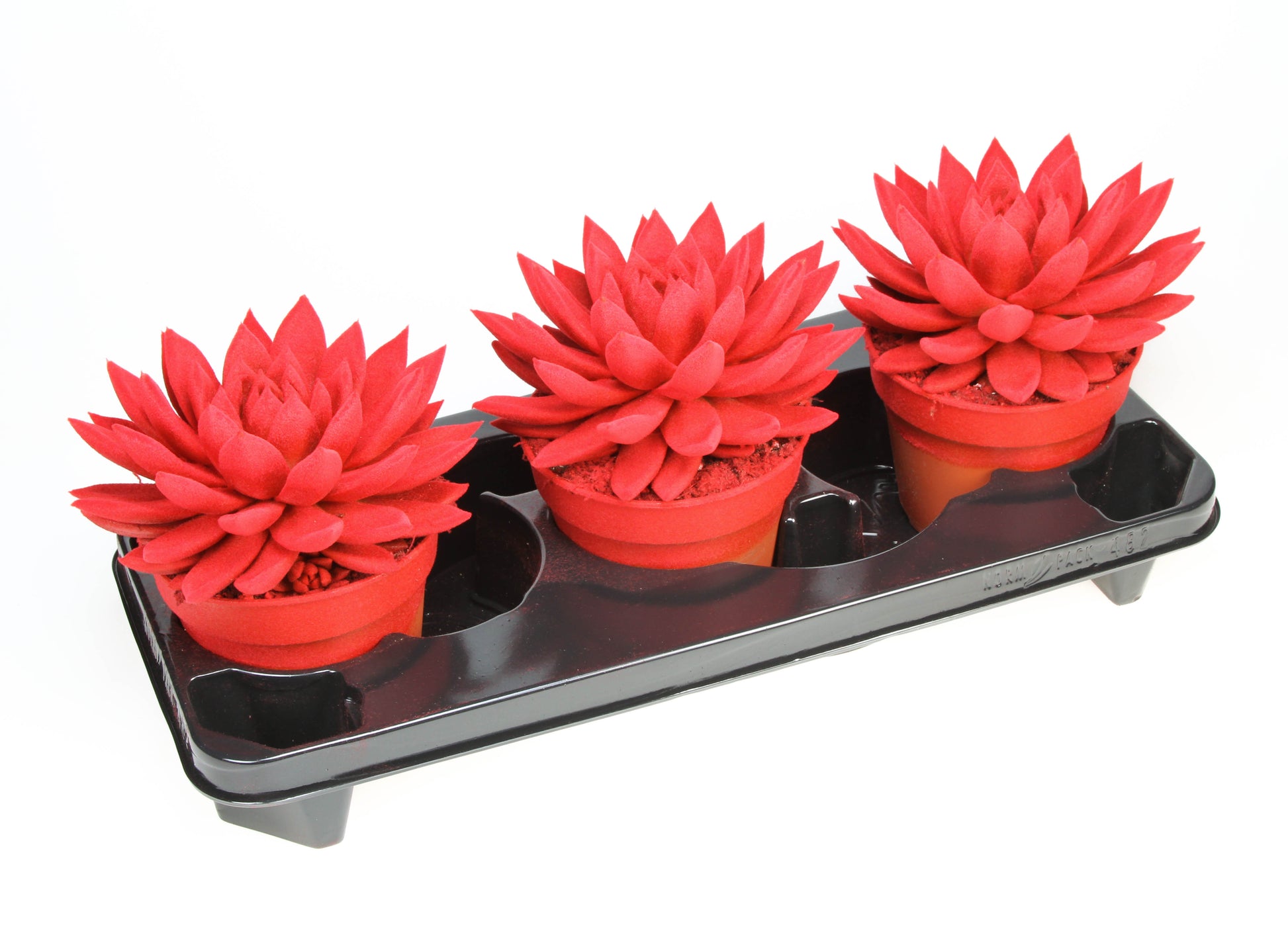 Miranda velvet red 20cm 15cm Pot