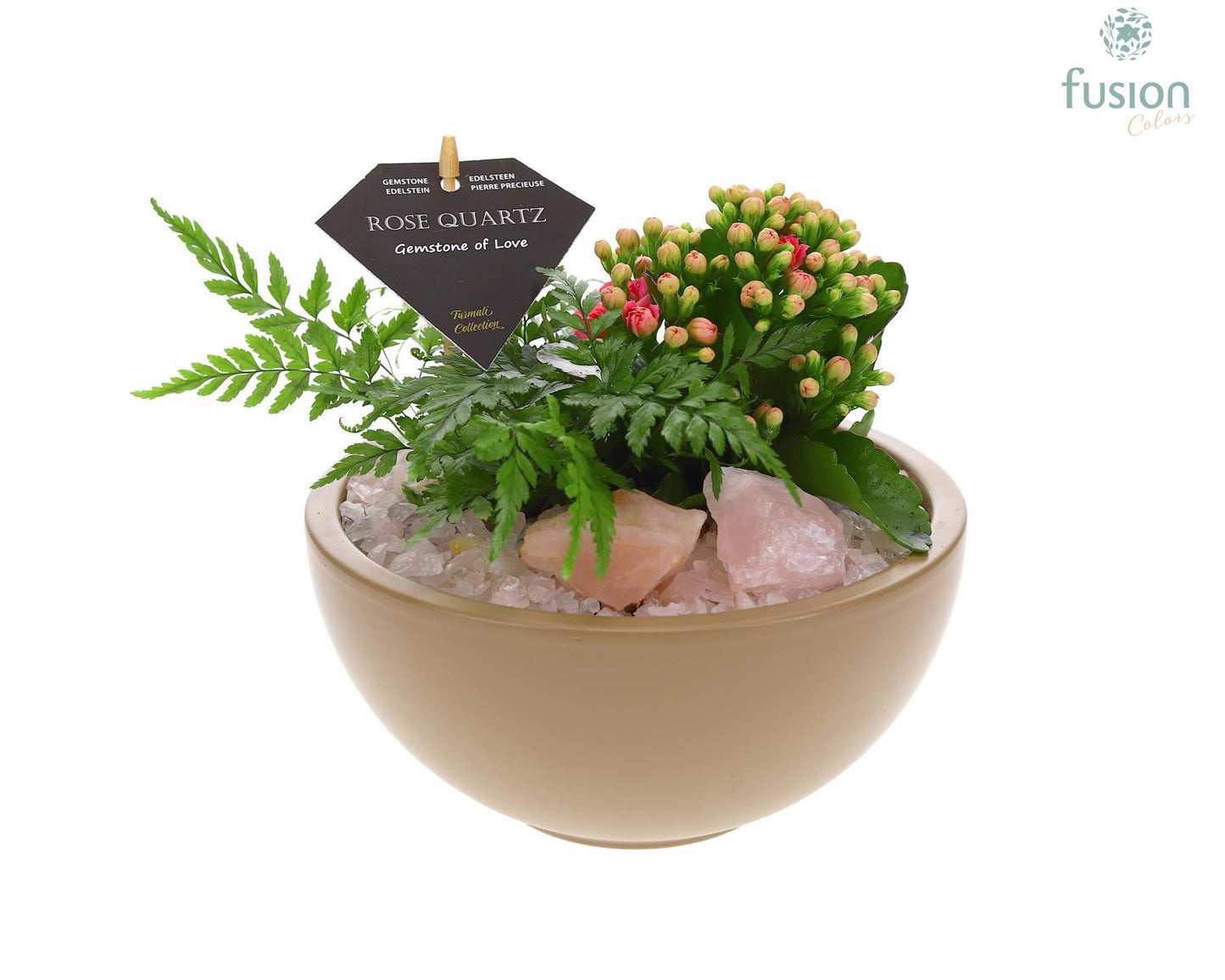 Schaal keramiek Moon Medium beige met Arrangement 29cm 18cm Pot
