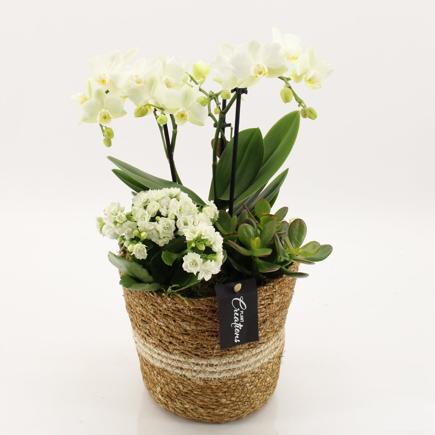 PROMO-A2603 45cm 17cm Pot