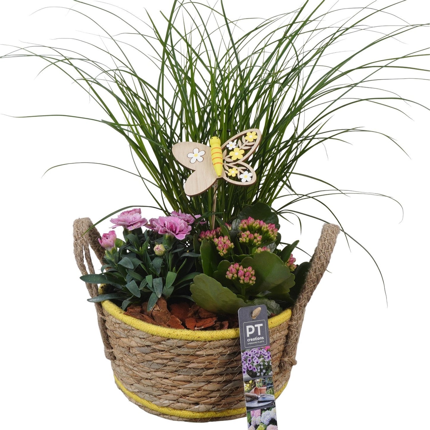 Outdoor arrangement 42cm 18cm Pot
