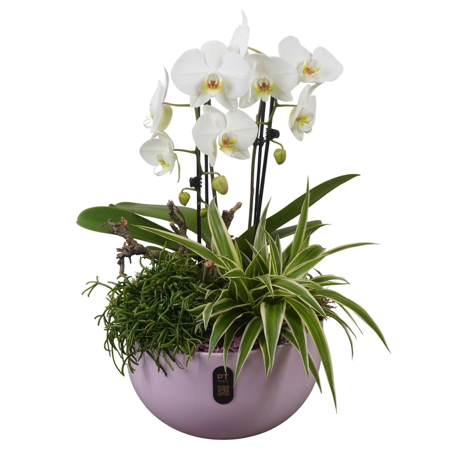 Indoor arrangement 57cm 26cm Pot