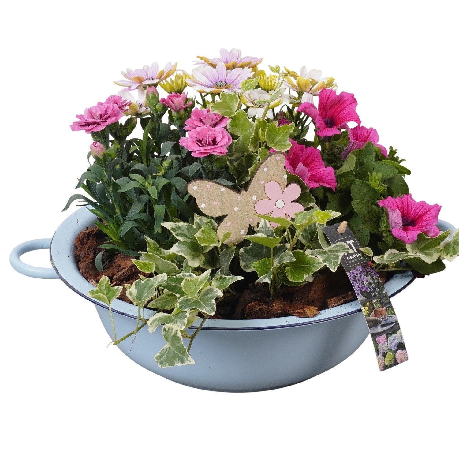 Outdoor arrangement 23cm 29cm Pot