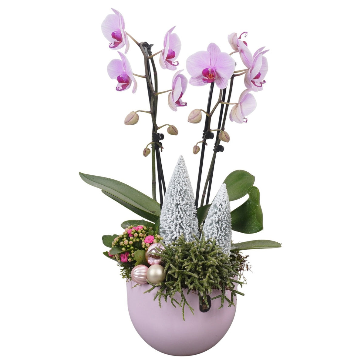 Christmas arrangement 58cm 19cm Pot