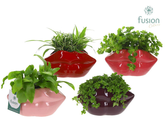 Keramiek Lippen met Groen planten 15cm 15cm Pot