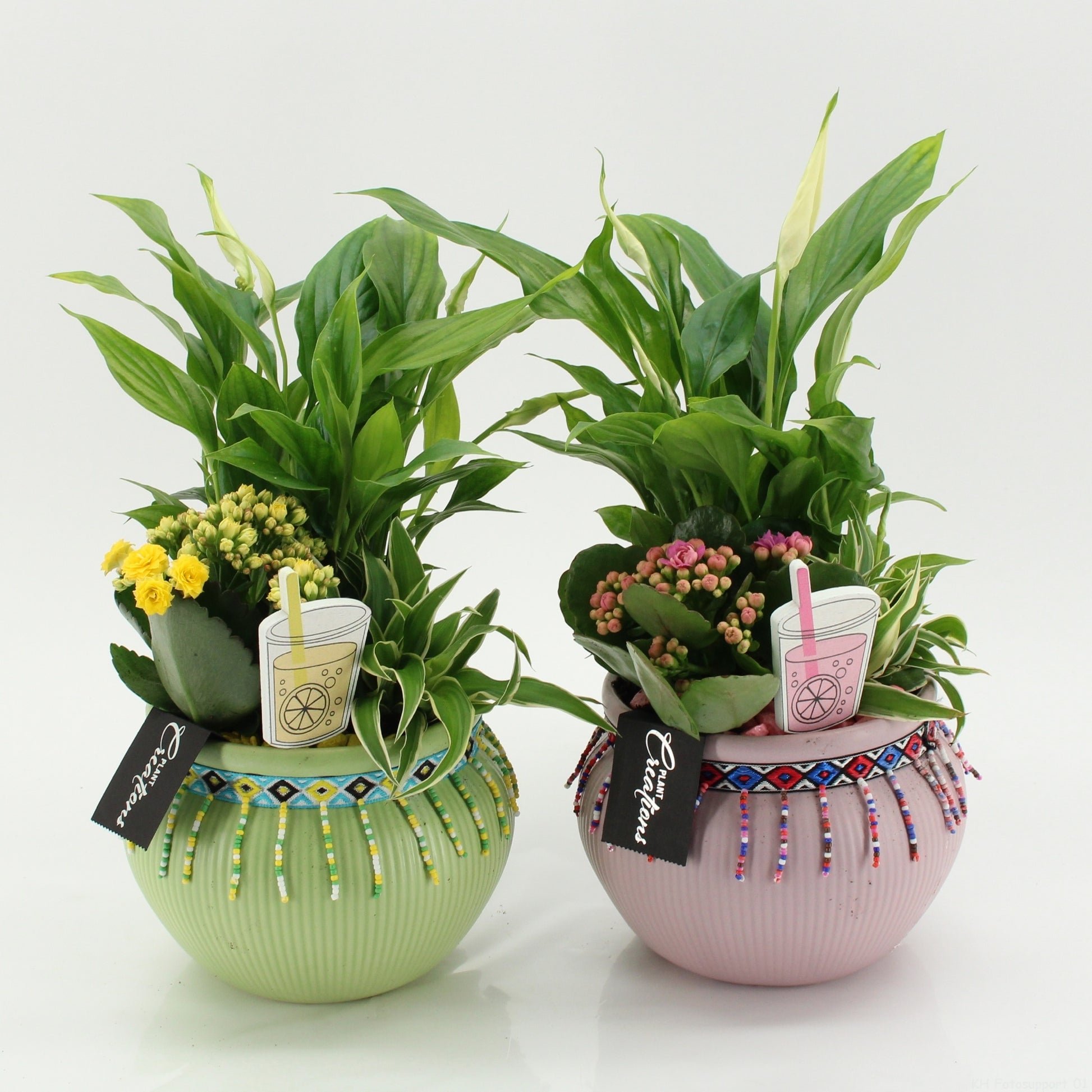 SECR-2618M Summer Essentials Colors 35cm 19cm Pot