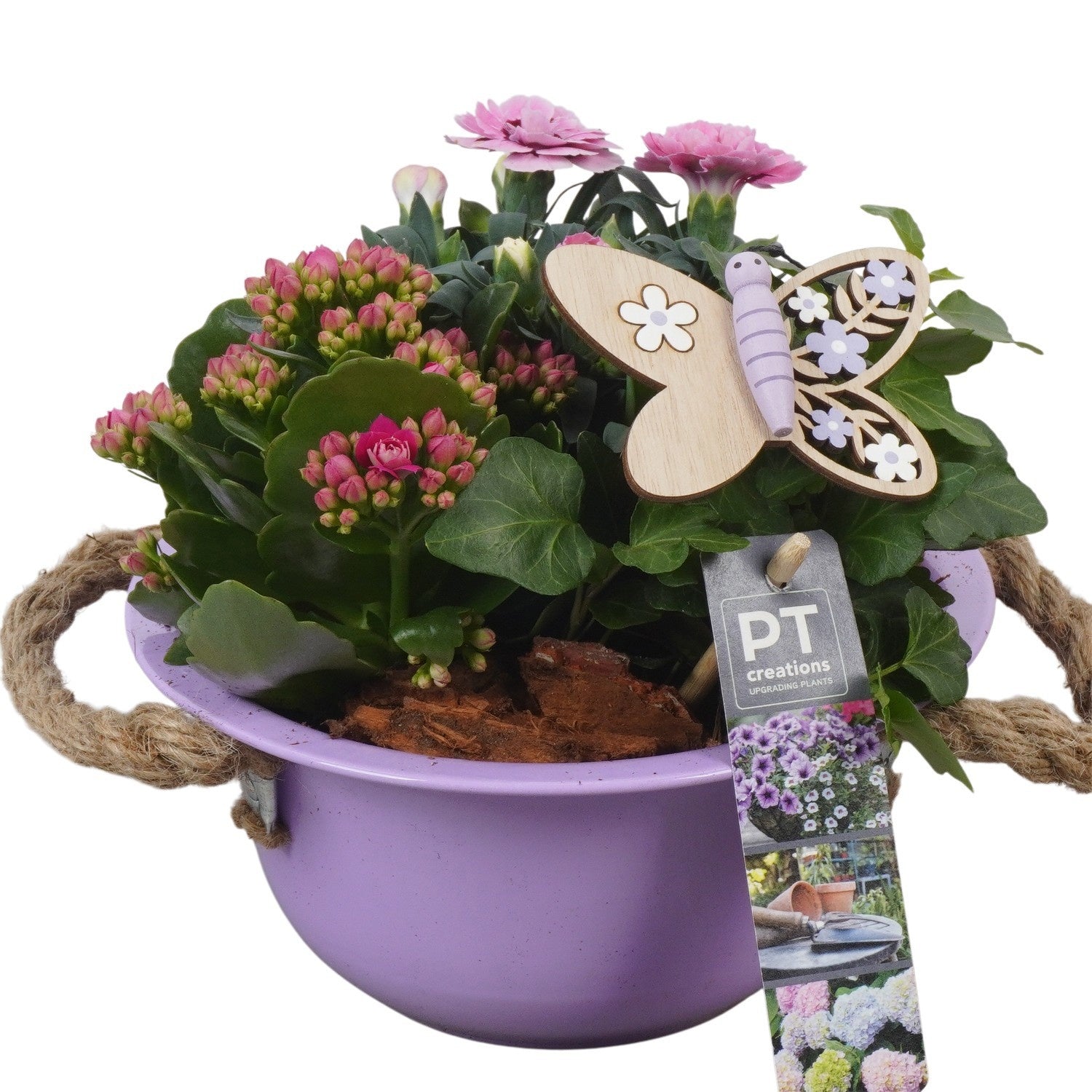 Outdoor arrangement 20cm 18cm Pot
