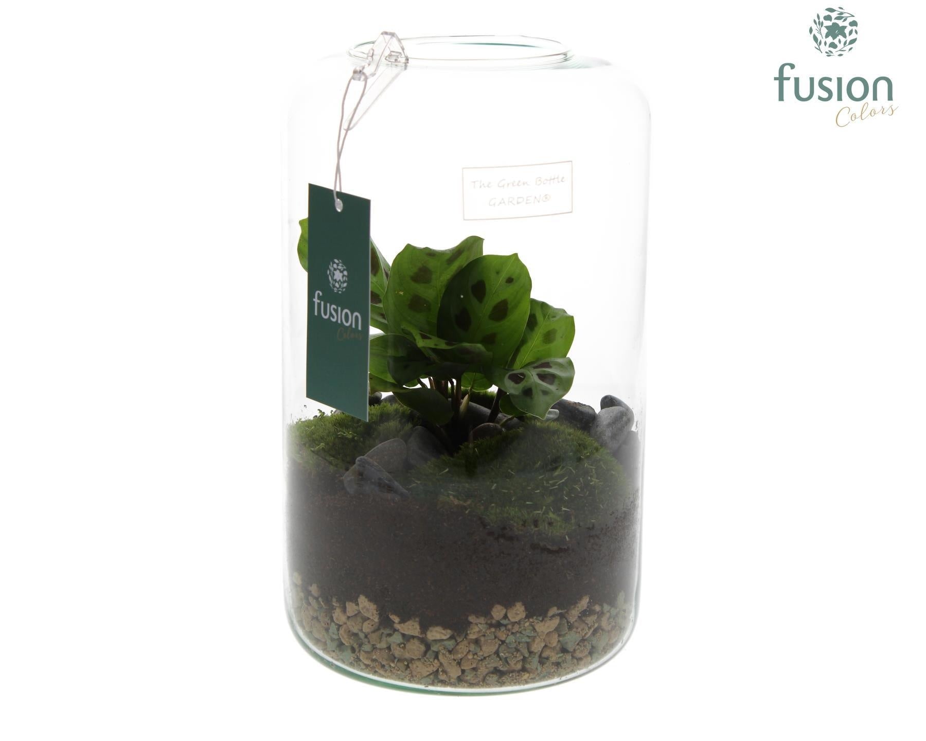 Fusioncolors BV Green Bottle Isabella medium met Groene Planten Arrangement D23 Pack of 6