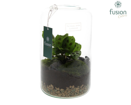 Fusioncolors BV Green Bottle Isabella medium met Groene Planten Arrangement D23 Pack of 6