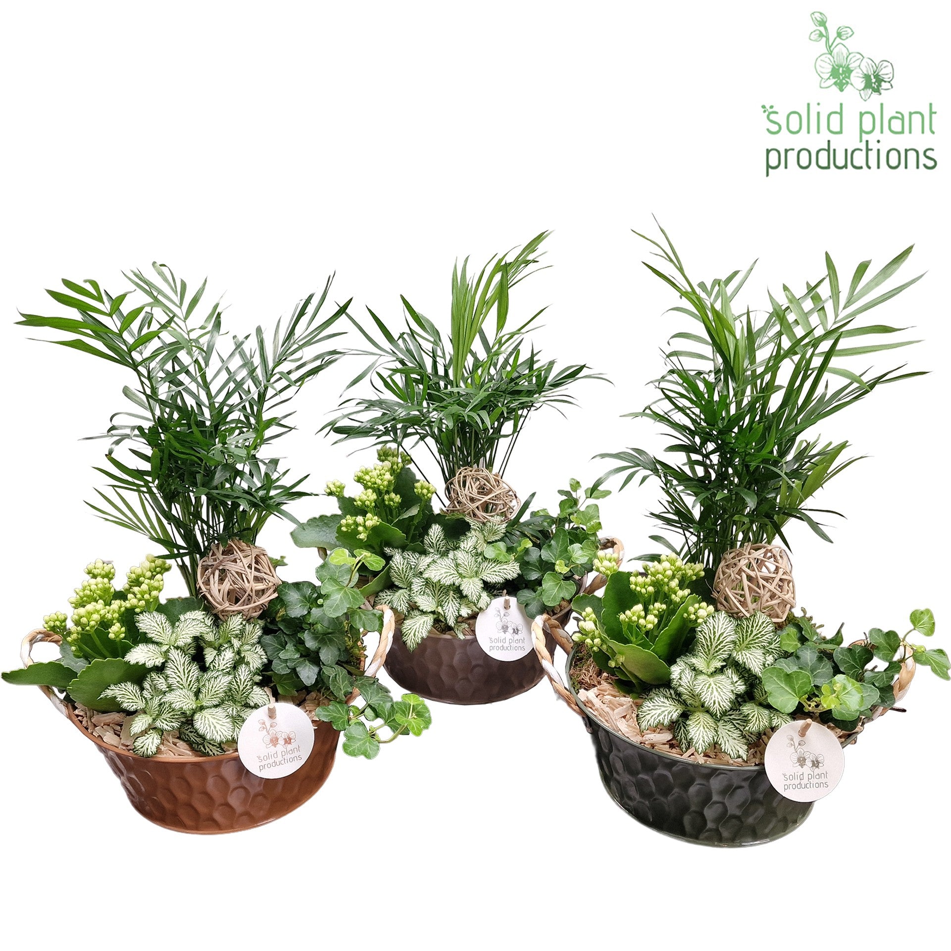 CH016 Miami 38cm 21cm Pot