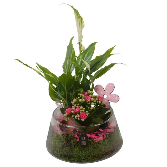 Indoor arrangement 28cm 18cm Pot