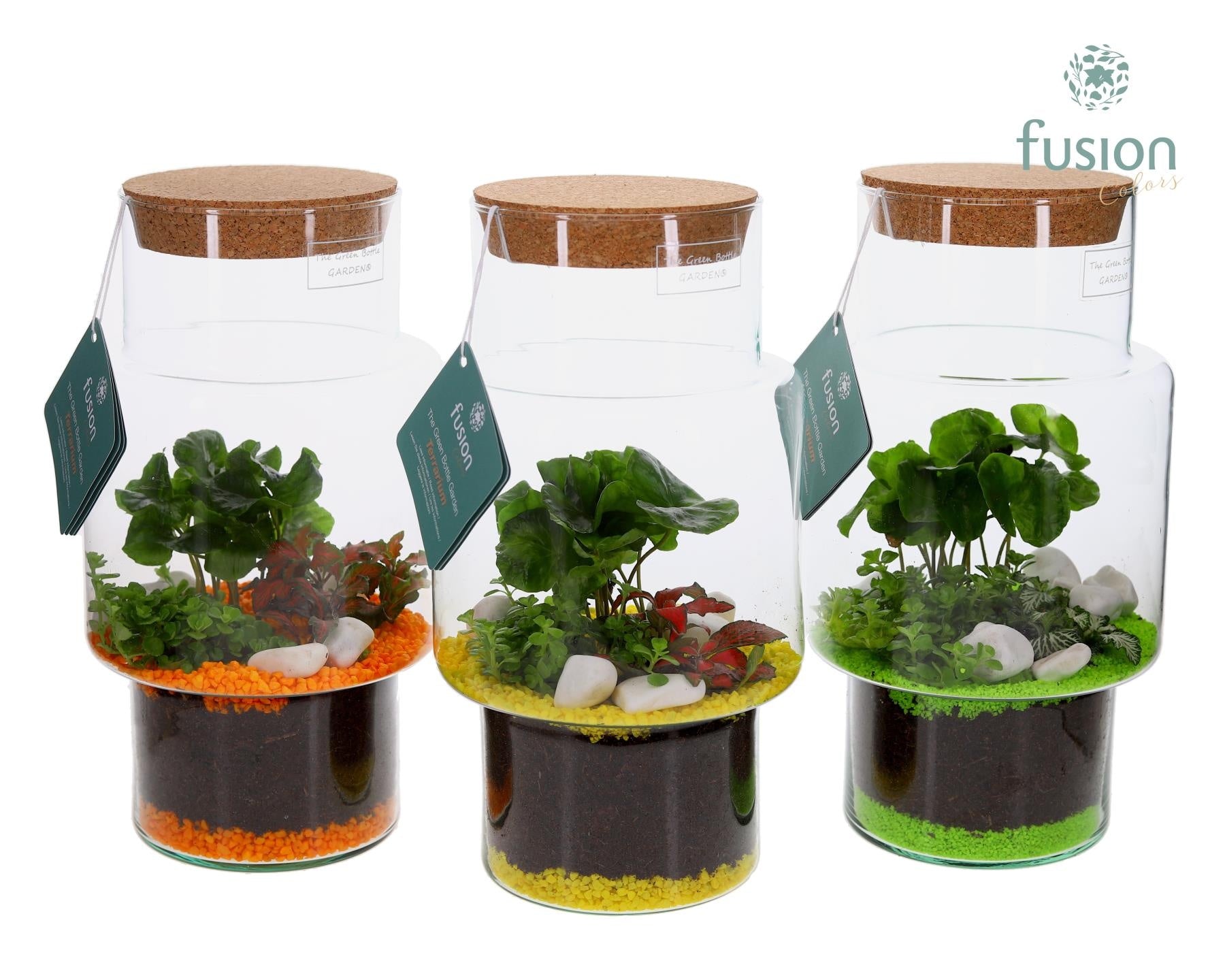 Green Bottle Sara Medium met Terrarium Arrangement 29cm 16cm Pot