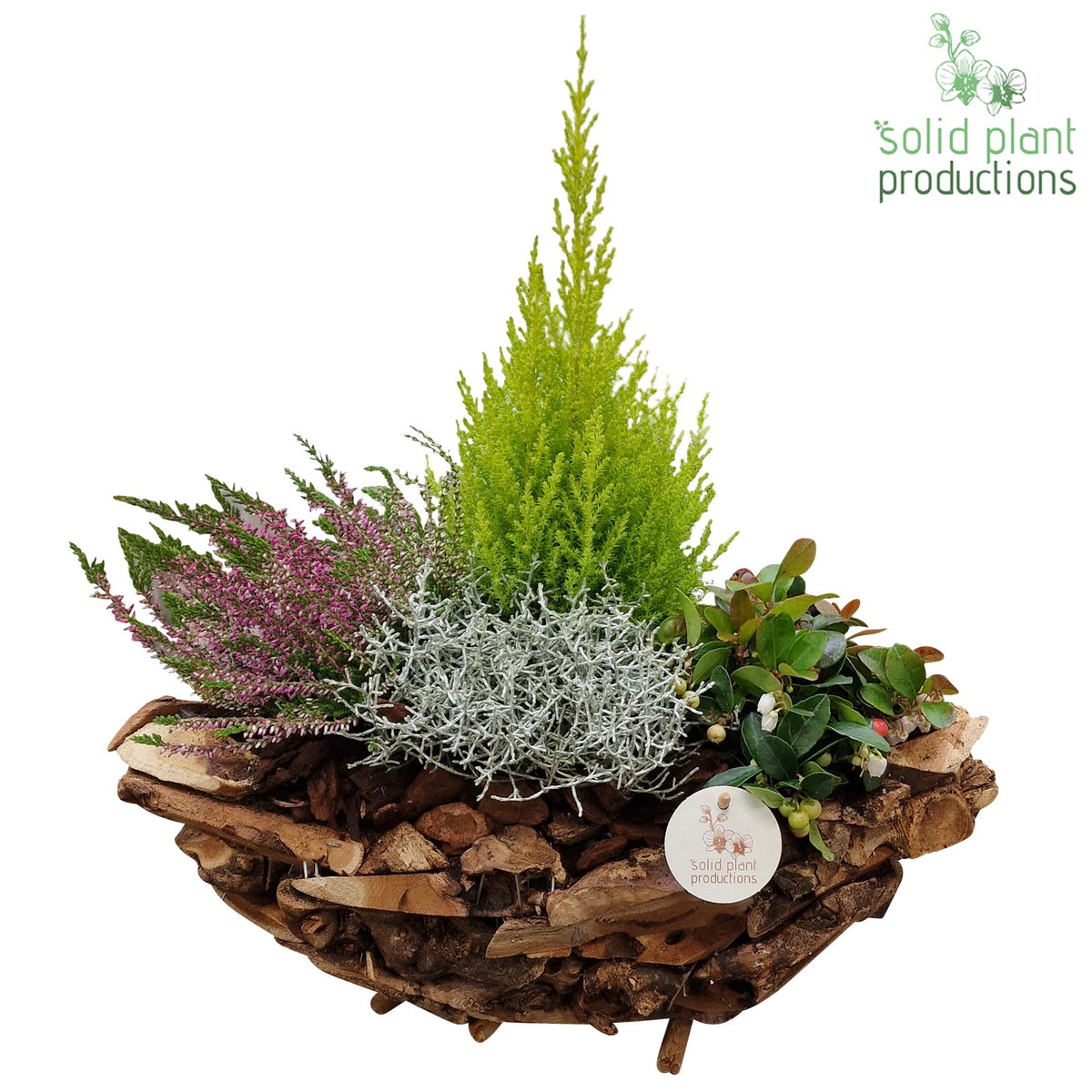 Outdoor arrangement 50cm 42cm Pot