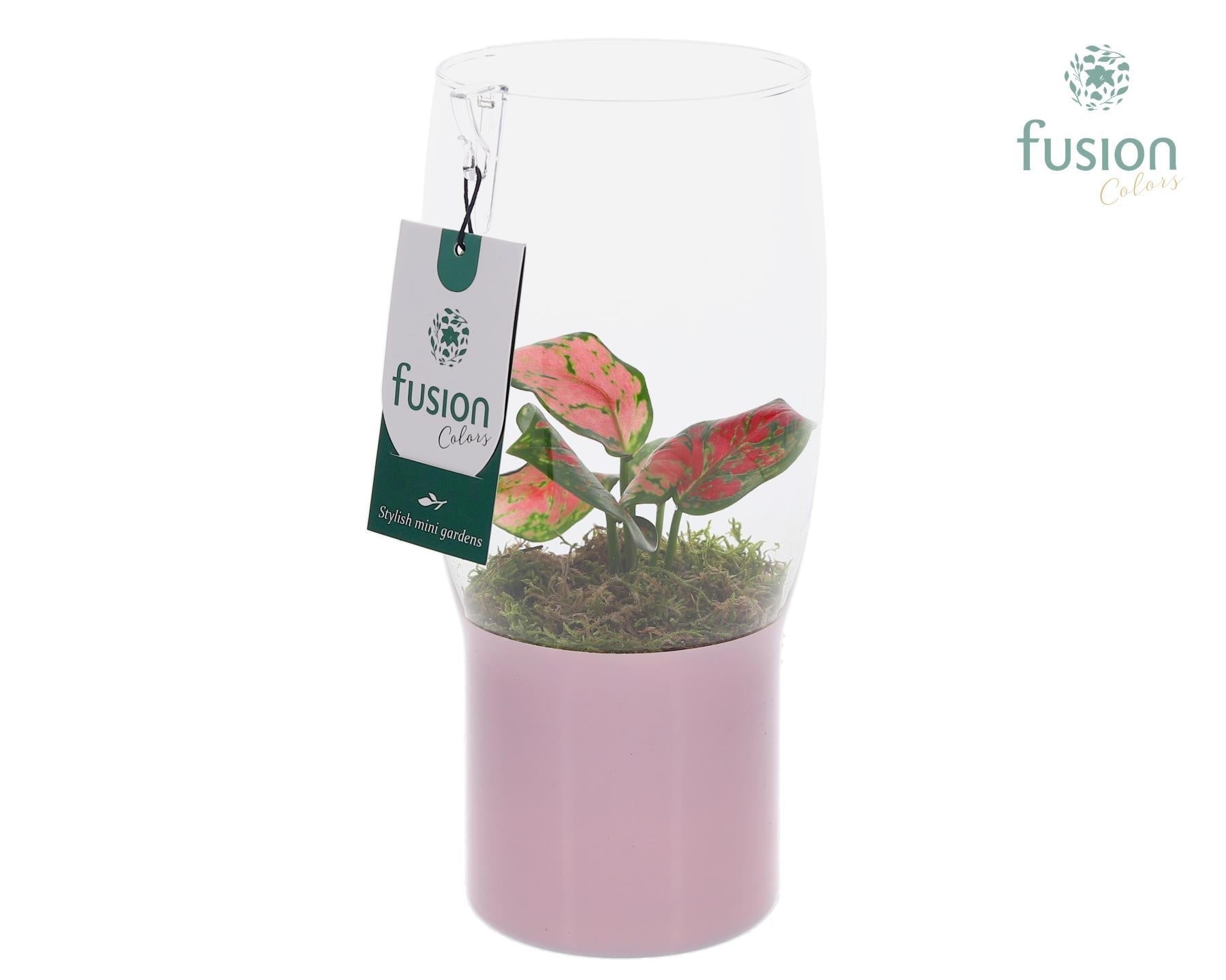 Fusioncolors BV Green Bottle Tulp vaas met Aglaonema Pack of 7