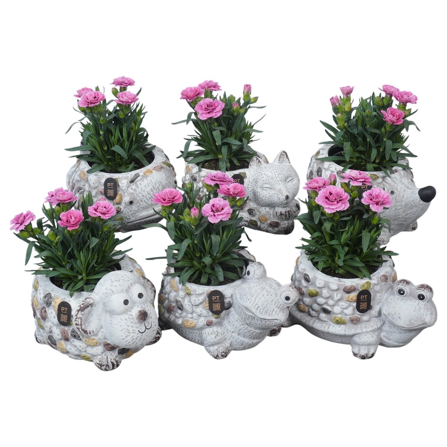 Outdoor arrangement 19cm 20cm Pot