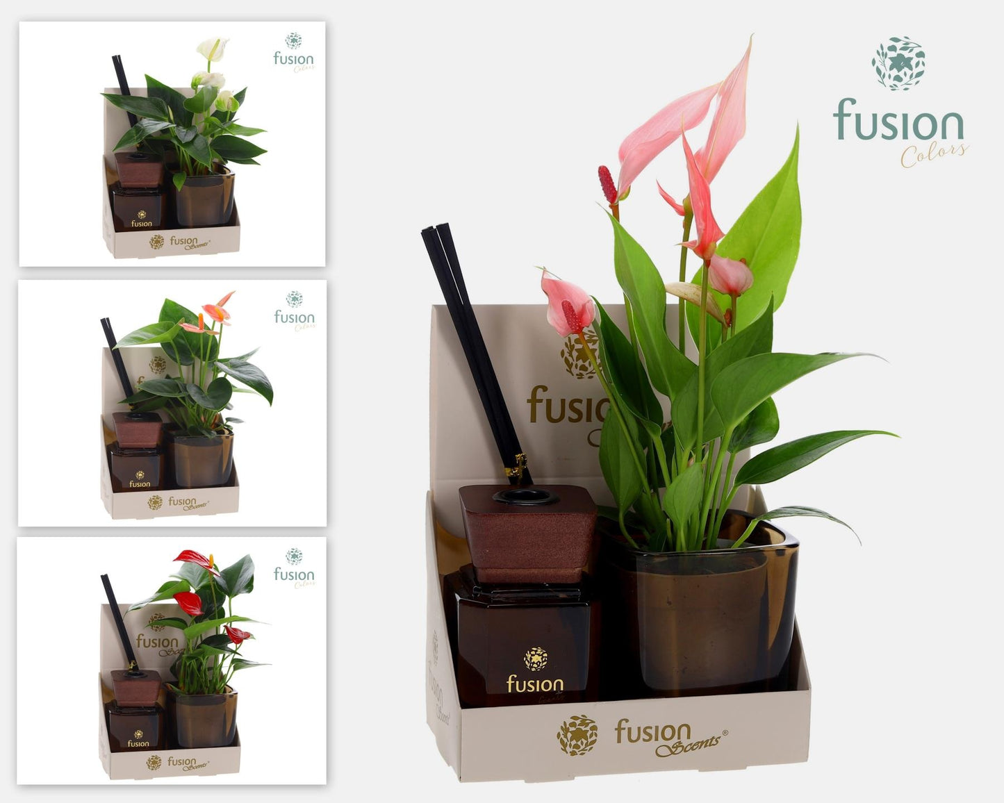Fusion scents Glas pot geurstok groen met Anthurium. 20cm 7cm Pot
