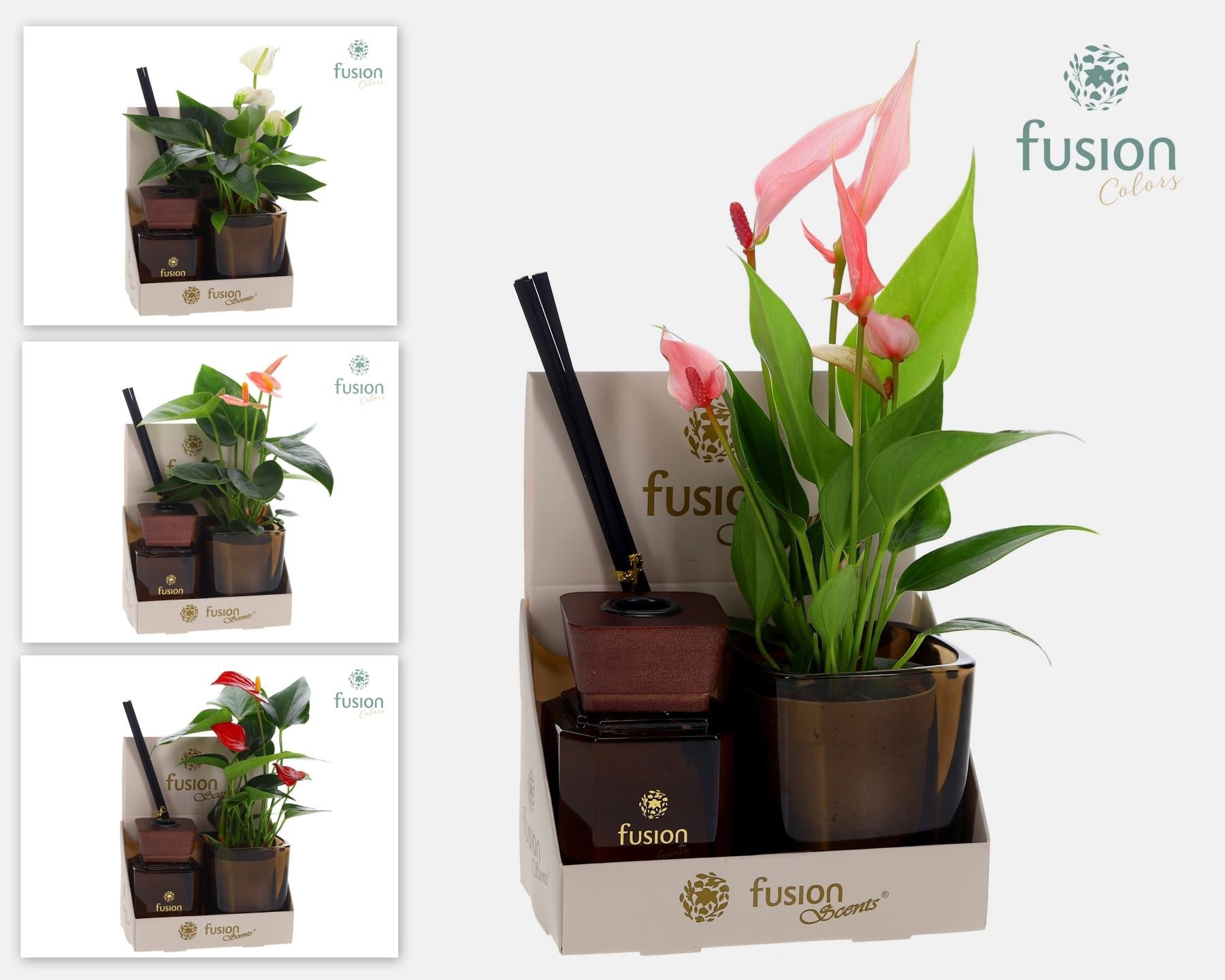 Fusion scents Glas pot geurstok groen met Anthurium. 20cm 7cm Pot